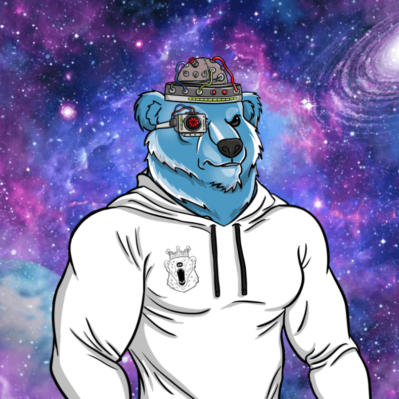 RoyalBears_'s tweet photo. If you had to choose between these 4 Royal Bears, which would you pick and why?

#RoyalBears #SolanaNFTs #NFTCommunity https://t.co/zHxIc3W3oR