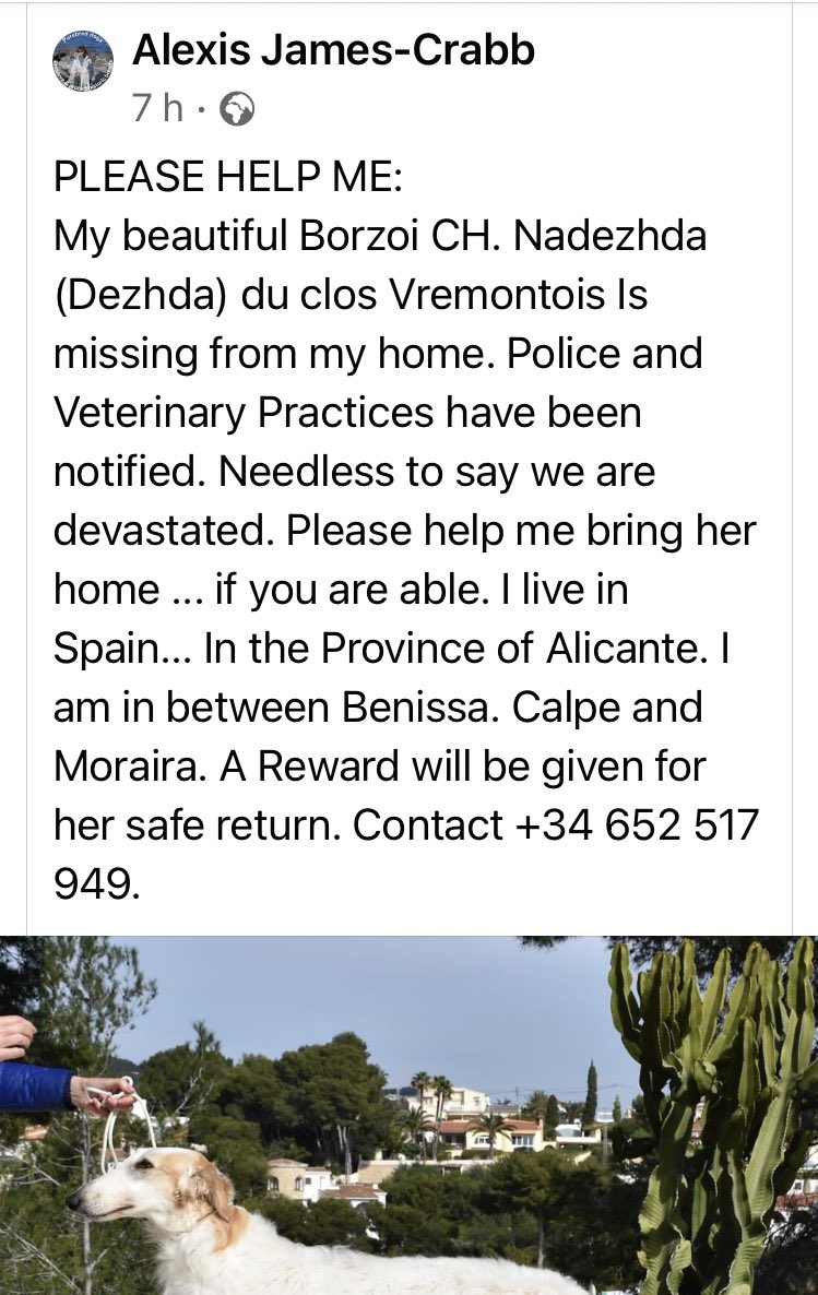 SAMPAuk_'s tweet photo. #Missing #Borzoi #Dog in #SPAIN from The area between #Calpe, #Benissa and #Moraira. Near #Fanadix #Fustera #Alicante #LostDog
Any contacts in Spain?PLS RT
Contact Alexis James-Crabb on +34 652517949
https://t.co/GaOJAD38sd https://t.co/g2XjSpdUBl