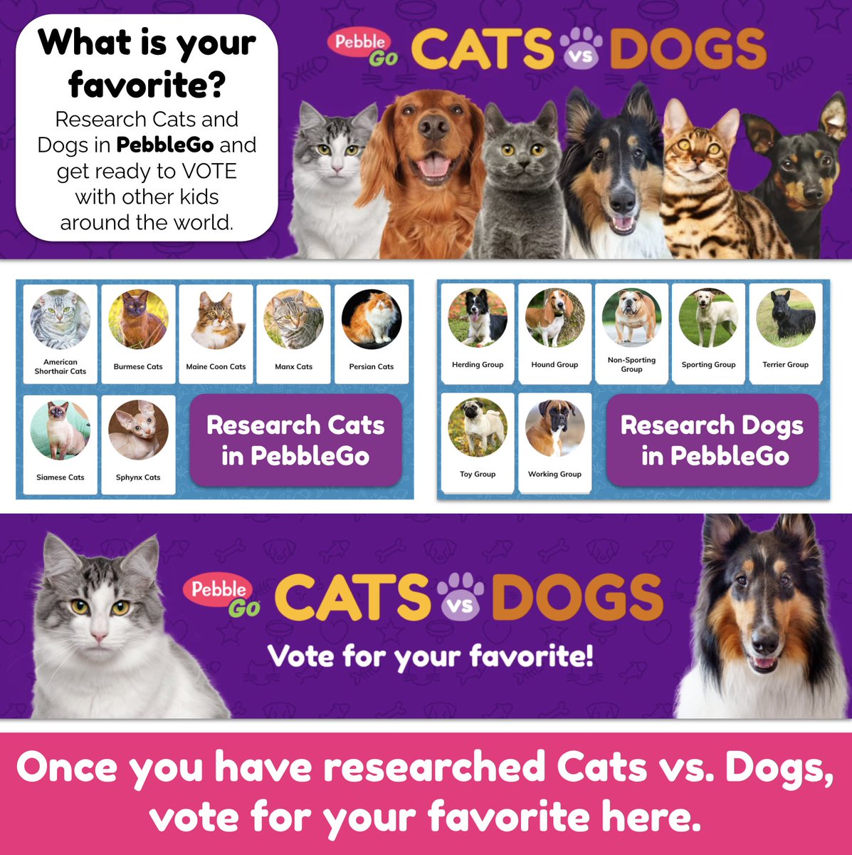 shannonmmiller's tweet photo. We are kicking off the #PebbleGo Cats vs. Dogs voting event with our kids this week! 🐱♥️🐶

Here is a choice board we created for the Cats vs. Dogs research &amp; voting. You can find the template to use here too. 👇🏾

https://t.co/vqqFgyZeQV

#tlchat #futurereadylibs #edchat #edtech https://t.co/IOWIJ5b5hA