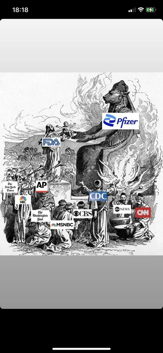 Zampdb's tweet image. #ExposePfizer @TheFreeThought2 #exposefda