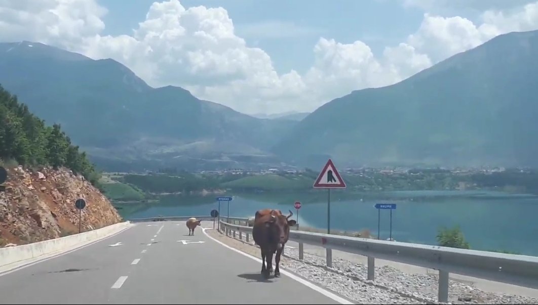 Dunava vs. Albania street view.