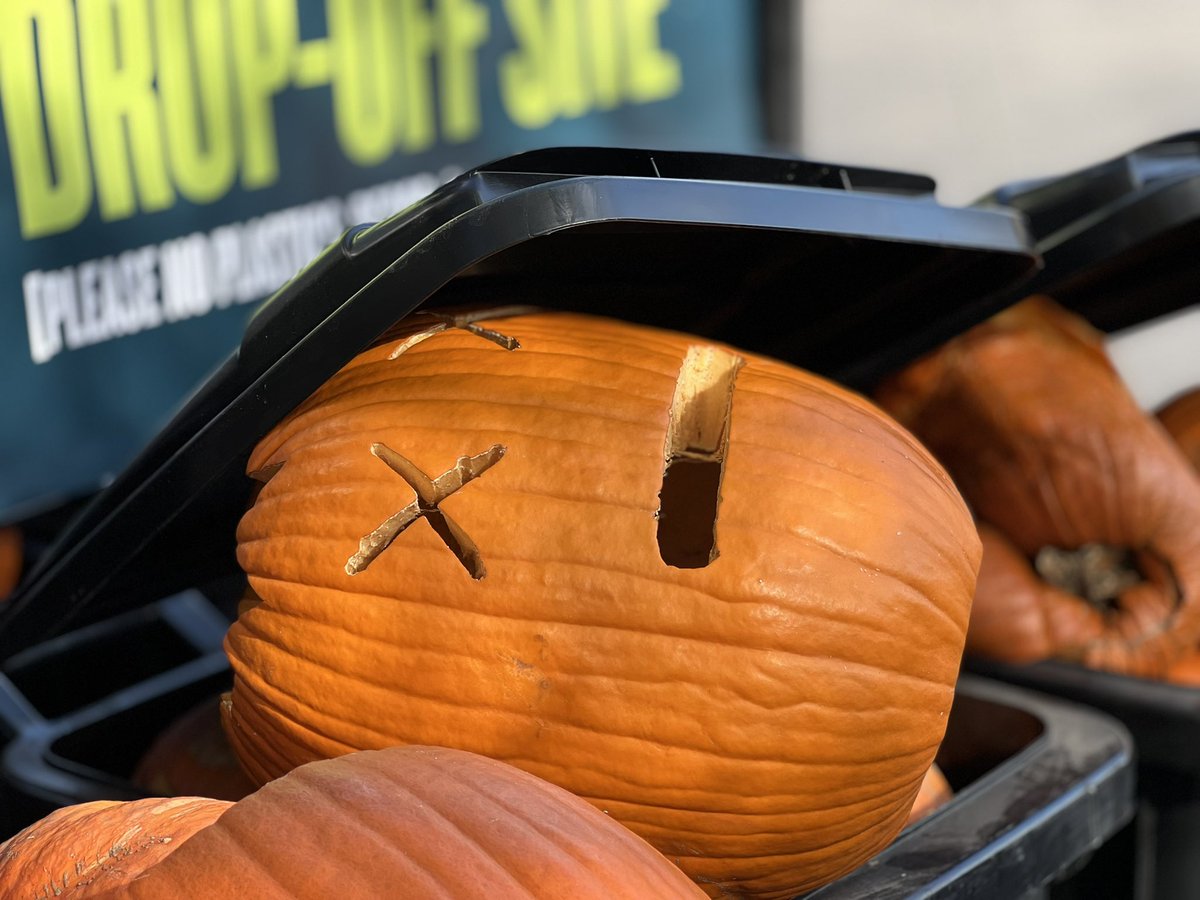 exit50's tweet image. Pumpkin 🎃 drop off.. I think horses 🐎 like them or pigs 🐖 can’t remember