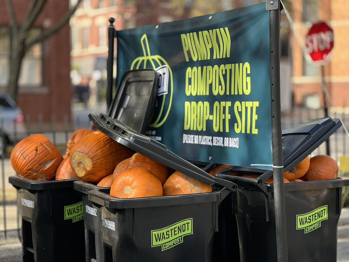 exit50's tweet image. Pumpkin 🎃 drop off.. I think horses 🐎 like them or pigs 🐖 can’t remember