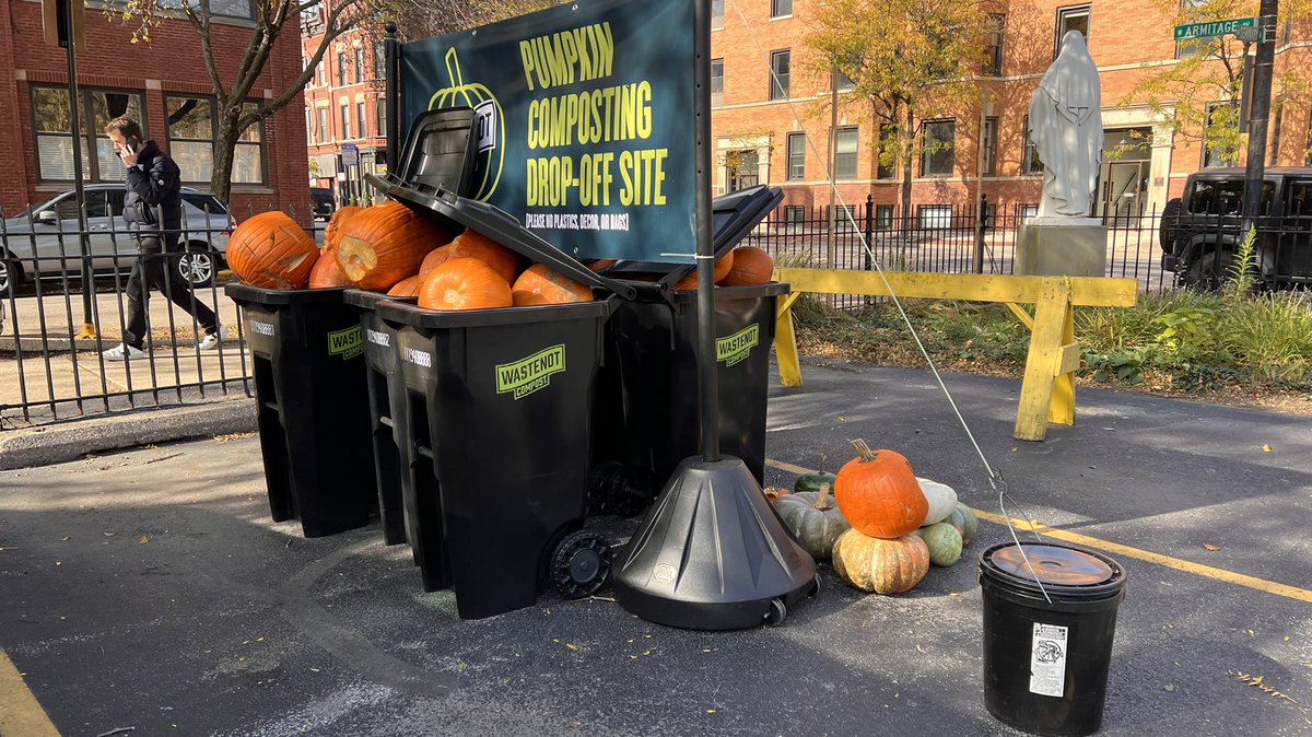 exit50's tweet image. Pumpkin 🎃 drop off.. I think horses 🐎 like them or pigs 🐖 can’t remember