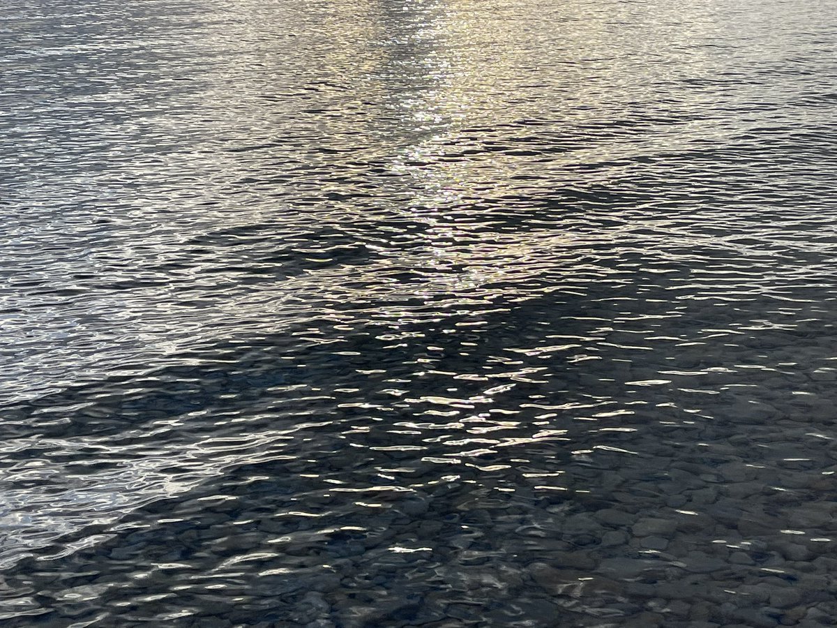 bagida_waad's tweet photo. Tobacco tie day 761. So what will this winter be like? Lots of snow or not really? I just hope for the bay to freeze over. The baby whitefish have a much better chance if the waters freeze over. #whitefish #GeorgianBay #babywhitefish #GreatLakes #icecoverage #coldwater https://t.co/TWG4blzkZC