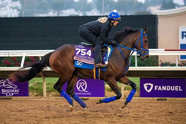 BloodHorse tweet media