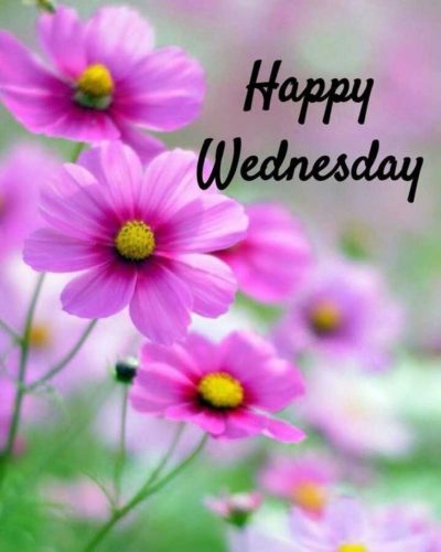 Happy Wednesday everyone!!