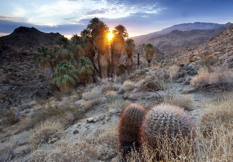 BLMca's tweet photo. 🔎Hello #SoCalExplorers! @BLMca is ready for you to play!!🐢🐦Take part in the SoCal Explorer 3.0 Campaign by completing missions in the augmented reality game Agents of Discovery and learn about Santa Rosa & San Jacinto Mountains National Monument https://t.co/P7vqJ1l5kk https://t.co/YXtUrmrGCy