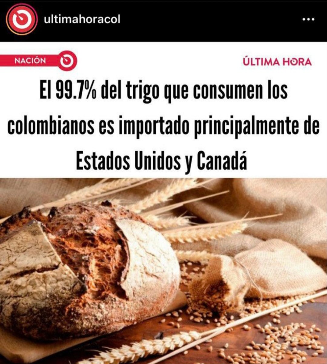 Jaime Cortés Suárez tweet media