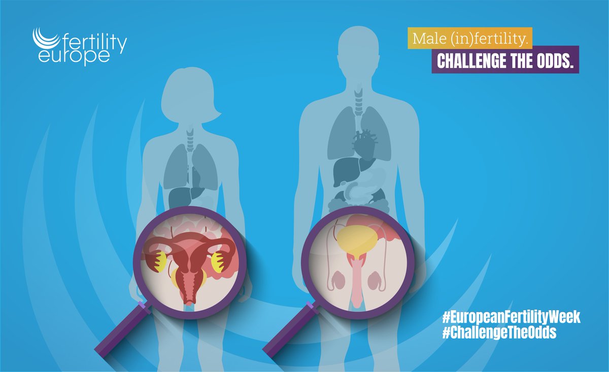 FertilityEurope's tweet photo. Sexual and #reproductivehealth are an integral part of overall well-being ⚕️

💪 #ChallengeTheOdds now by being aware of your and your partner’s reproductive health.

#EuropeanFertilityWeek https://t.co/eaHH0RtBbS