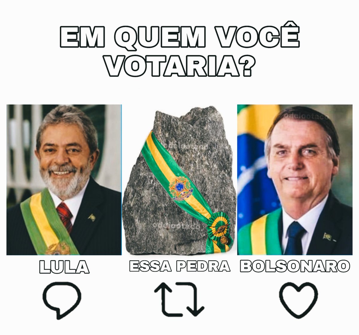perfil dedicado a gatinhos e peitos (@odeiootaco) on Twitter photo 