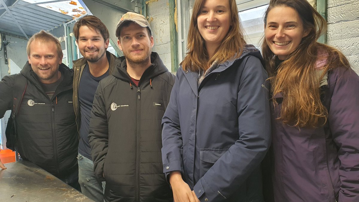 Wonderful to have a visit this week @ProjectSeagrass from the Greg in the seagrass research team at @chefdelmar 

- here's to lots of knowledge sharing and collaboration, and an emerging global seagrass nursery network