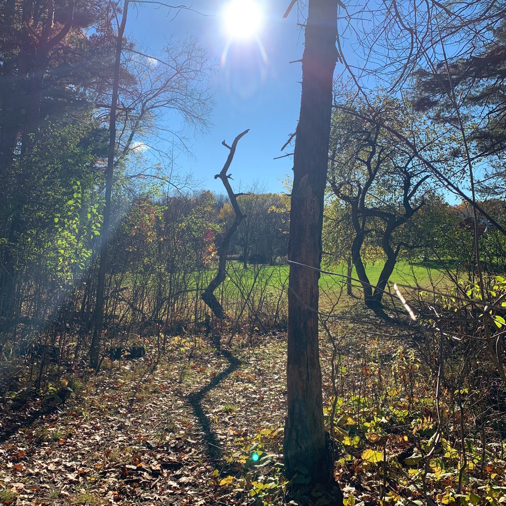 May God prosper you in every way. May you be emotionally strong &amp; stable, spiritually deep &amp; thriving, financially free &amp; generous, socially blessed &amp; a blessing, and physically fit &amp; healthy. May God fill in every gap, heal every wound, and restore everything stolen.