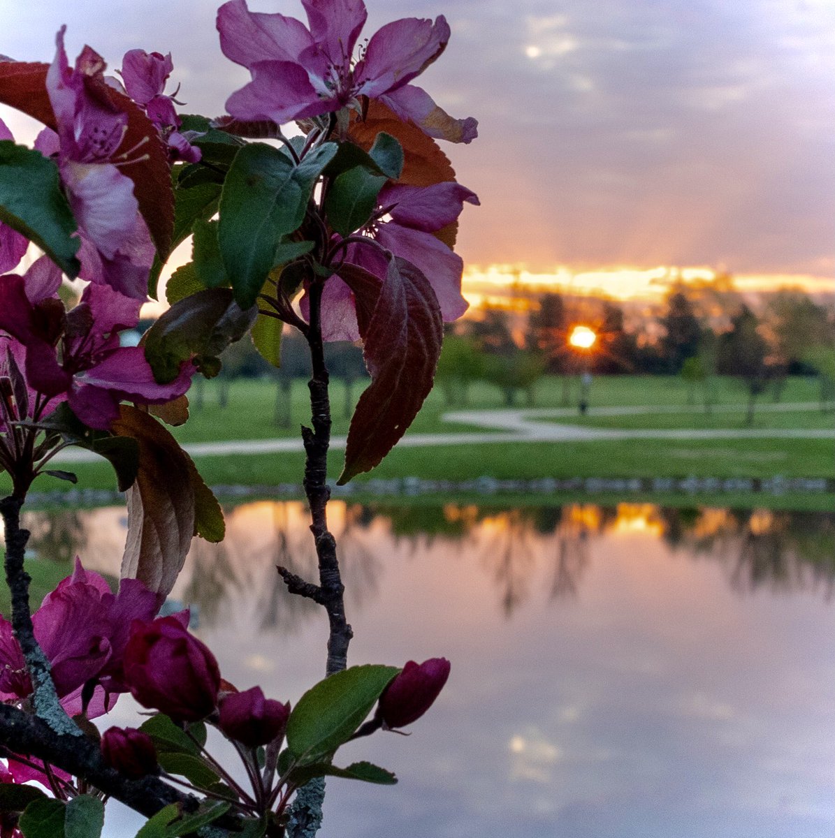 mbaxter091's tweet photo. “Through the year.” Submissions for a final project. #siue #edoutreach https://t.co/0ojJYVbO3l