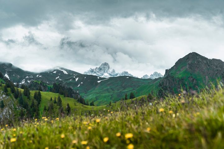 ansgarscheffold's tweet photo. Featured Art of the Day: "Mountain panorama in Switzerland". Buy it at: https://t.co/LI0KRMUawU https://t.co/nV5IngSP1H