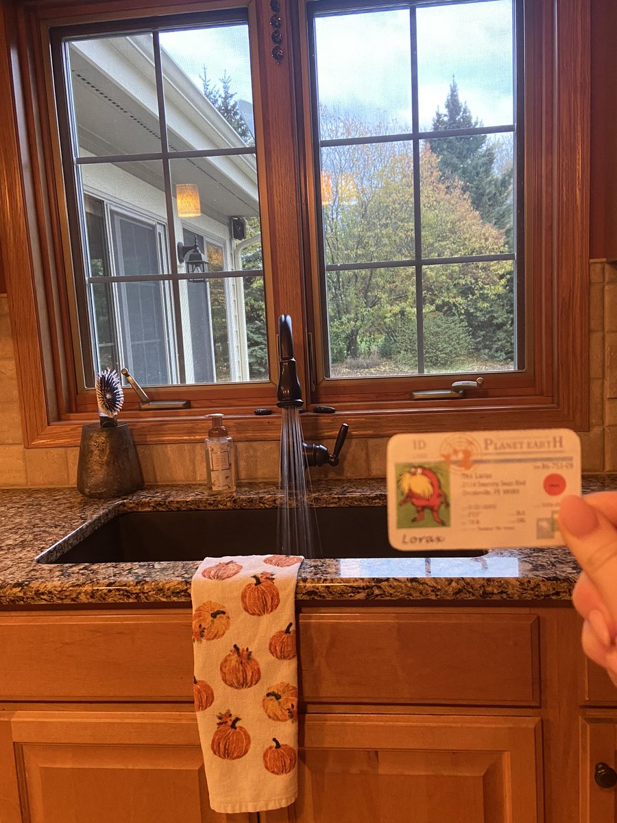When using the sink or taking a shower I am always keeping in mind how long it is turned on for. If we take even a little shorter shower or turn off the faucet unless we absolutely need it running, a lot of valuable fresh water can be saved! #apeswater <a href="/franklinlorax/">APES Project Lorax</a>