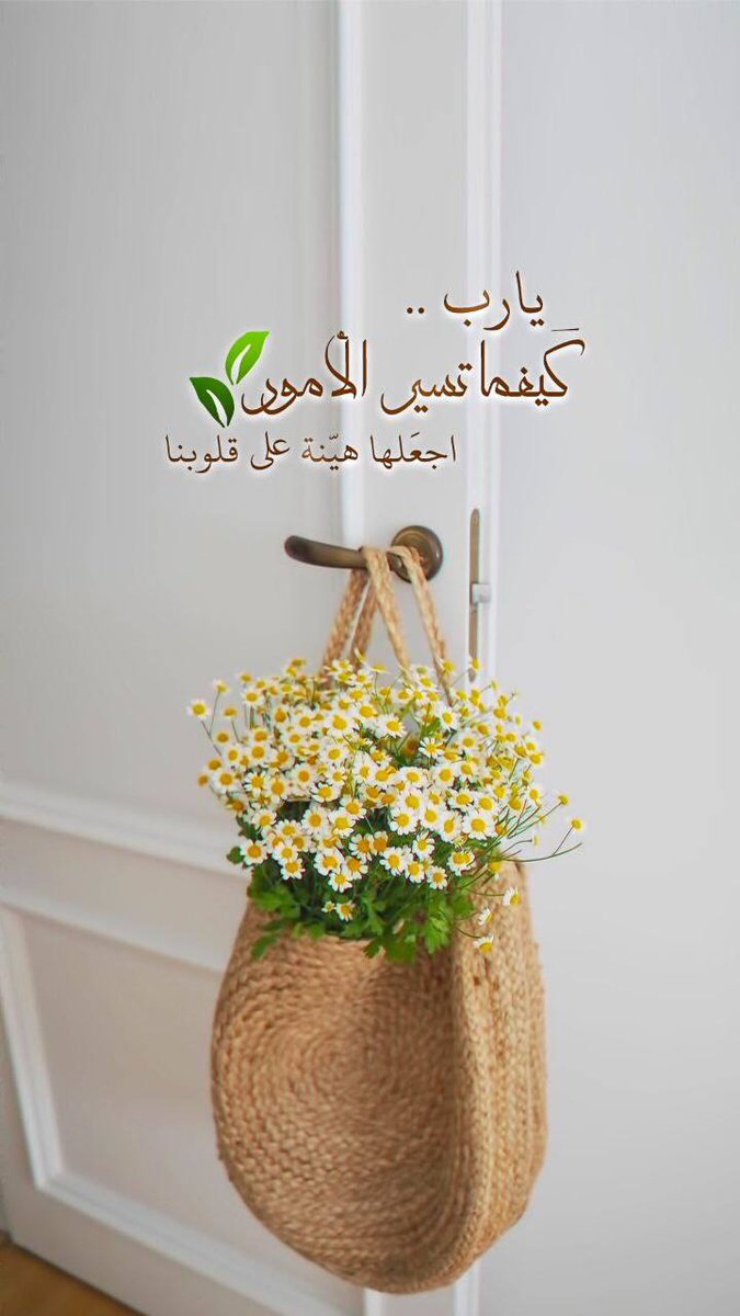🌼🏷
يارب✨
كيفنا تَسير الأمور
اجعلها هيّنة على قُلوبنا
#ايش_اجمل_شي_بالحياه