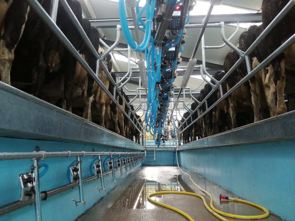 It took a bit longer than planned, but we're in and milking!!