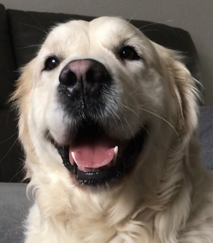 👅 Teddy 👅 tweet media