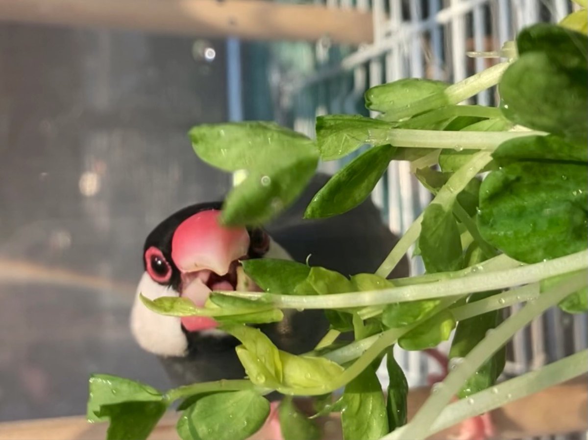 おはようございます