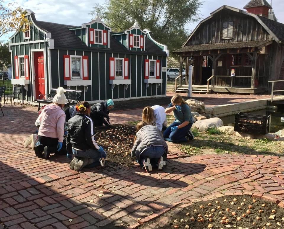PellaMidSchool's tweet photo. These MS students had a blast planting tulips today- what an awesome way to serve our community! @PellaHistorical #learnleadachieve https://t.co/PzqwBSJRwm