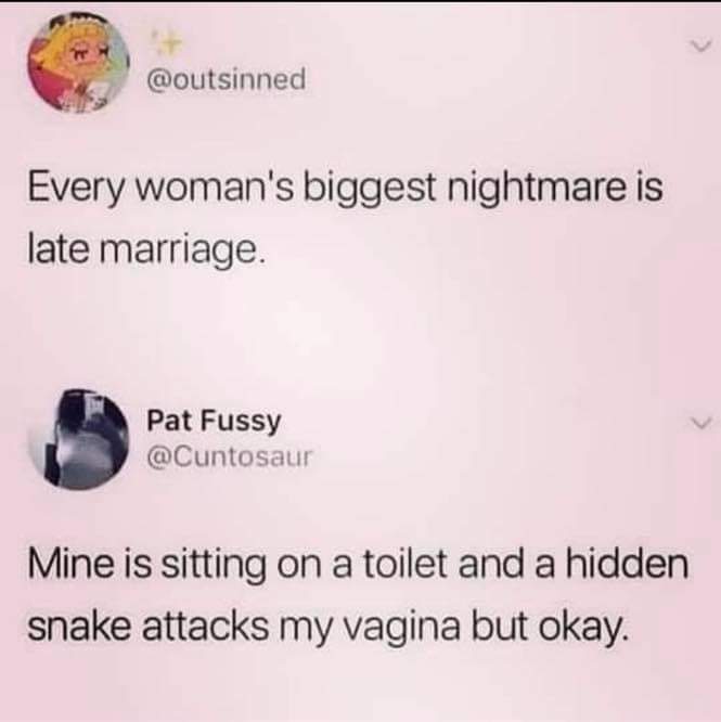 I live in a country that is renowned for having snakes driven out and I still check the toilet bowl everytime I go 🤷‍♀️