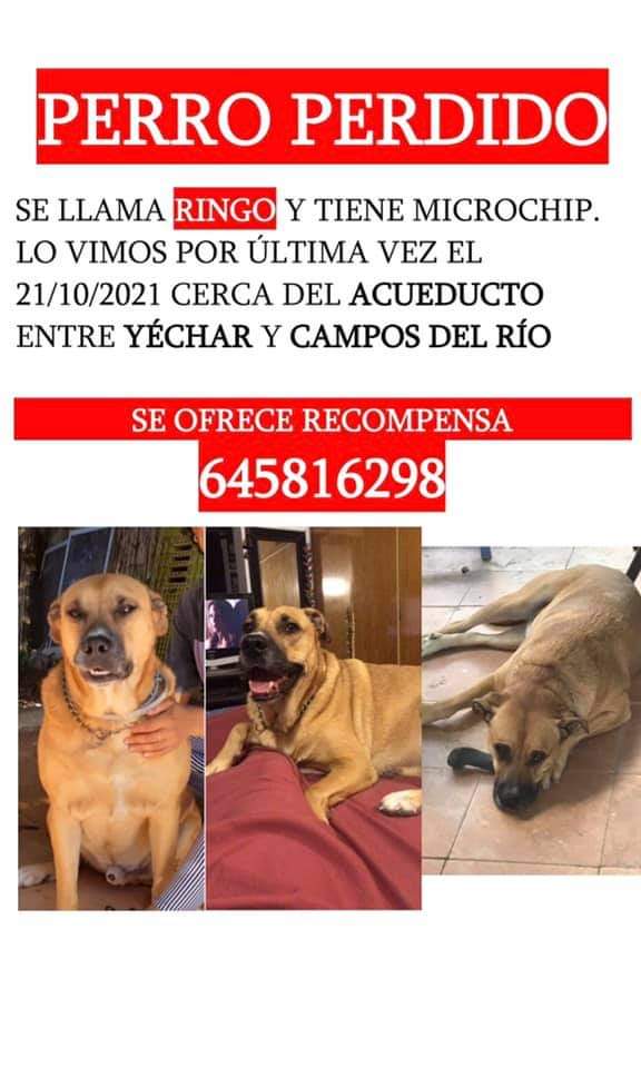 miguel17370's tweet photo. @perezreverte por favor RT https://t.co/QZx86GD3em