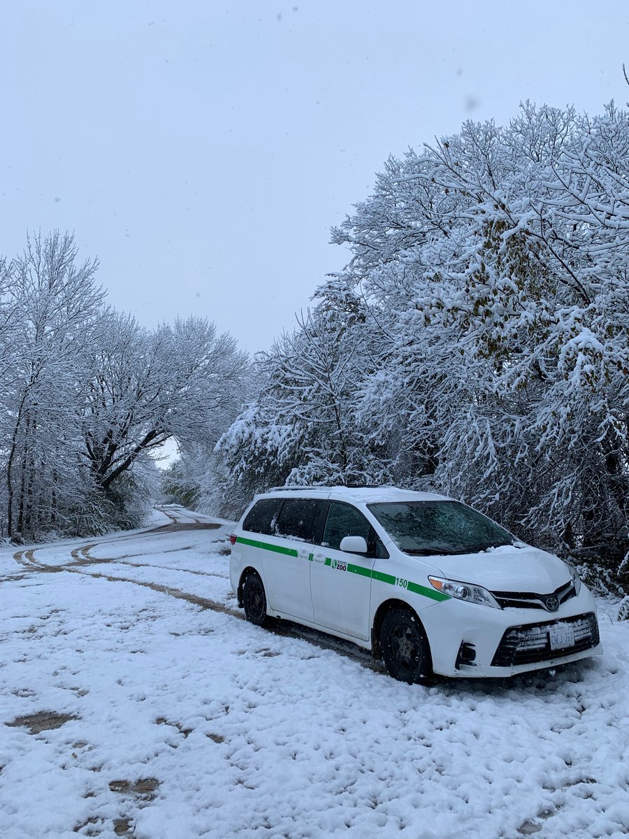 Snow last night made an unexpected winter wonderland for fieldwork this morning. Followed by a progressively greener and wetter drive back to Toronto its traffic: couldn’t help feeling we were going the wrong way…