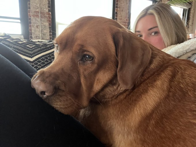 Snoots. https://t.co/AZD6Aq2cJa<a href="/tag/sponsored"class="tags"><span>#sponsored</span></a>