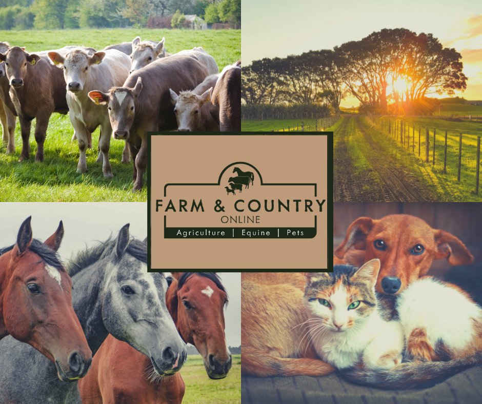 agri_equine_pet's tweet photo. Not long until our launch! 😀

Farm &amp; Country merge the convenience of online with the traditional values of farming. We're here for the country person. 

#farmandcountryfriday

#horsesofinstagram #equestrian #dog #doglover
#cats #catsofinstagram #catlover
#dogs #petsofinstagram https://t.co/B7FuGokMQO