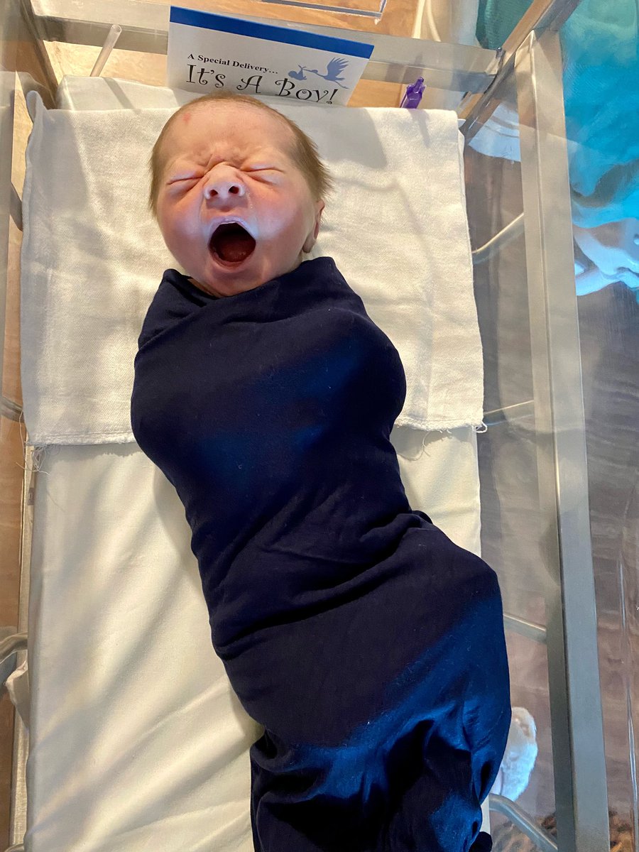 LGHendersonUtah's tweet photo. Team Utah is so excited to welcome Cal Levi to the world! 

As the state’s chief election officer, he was the best result I could have asked for on election night. 
#ElectionResults2021 #ElectionBaby https://t.co/5oV4ZcmyTU