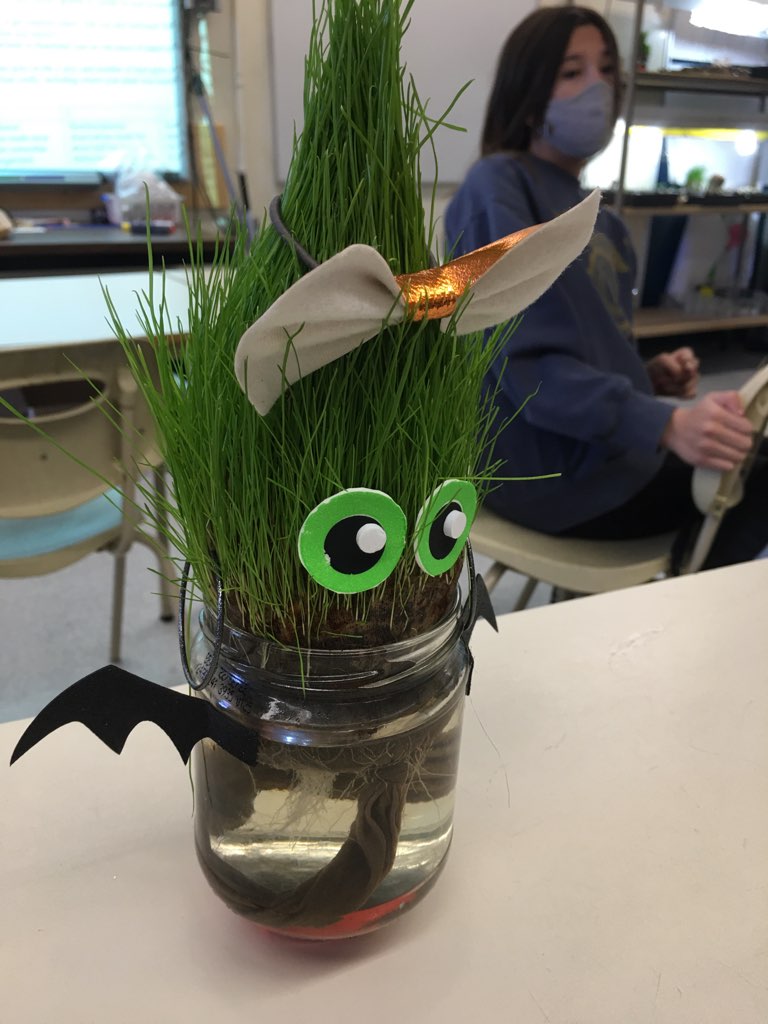 Nickle School tweet media