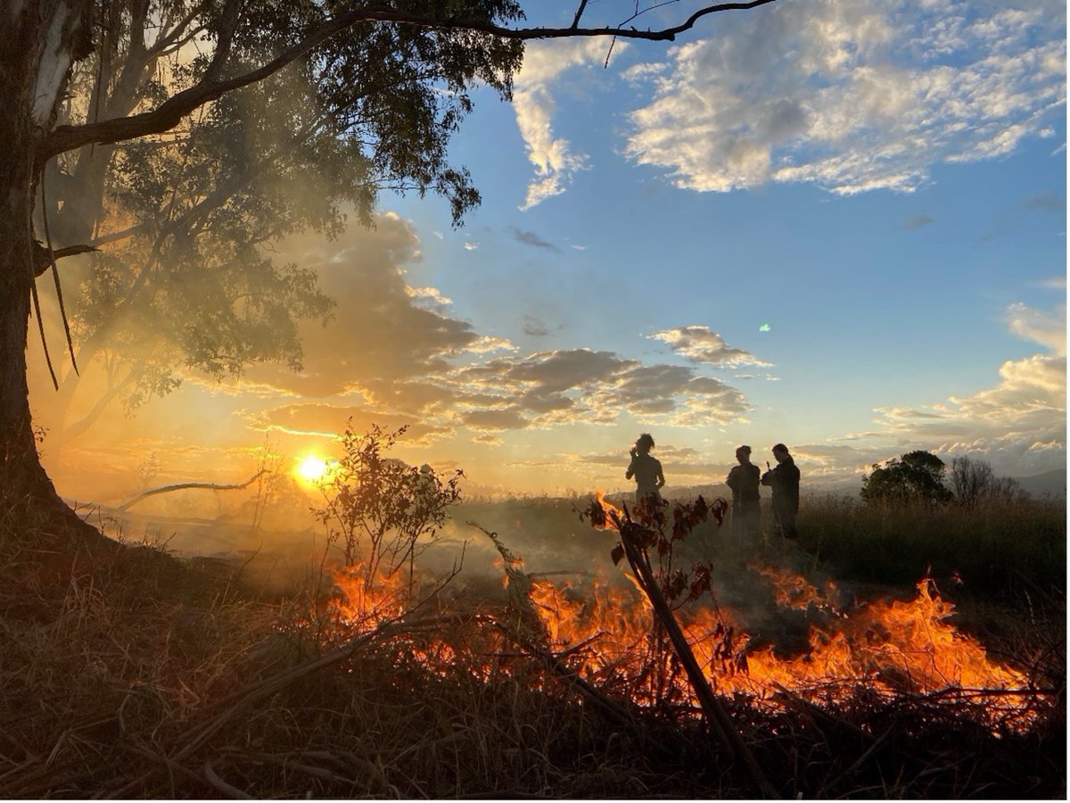 9 Nov 2021 Webinar: Coordinating to protect culture and biodiversity in the heat of wildfires - mailchi.mp/uq/focus-on-fi…