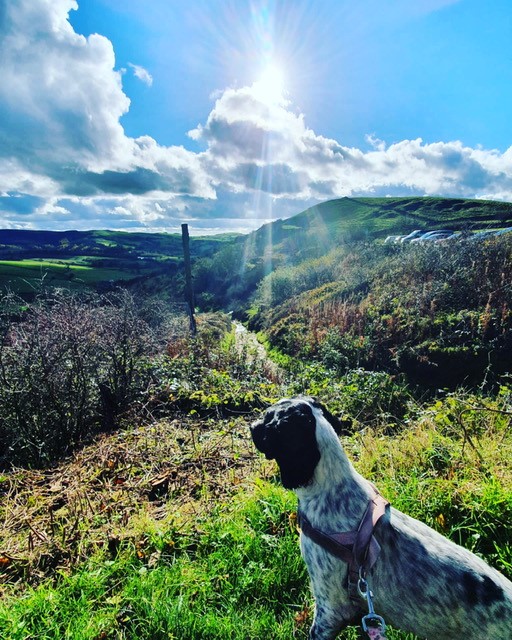 WatermillP3's tweet photo. On #NationalStressAwarenessDay here at Watermill we are thinking about all the lovely spots on our door step we can go and switch off for a while #WeAreP3 #P3cares #macclesfield #CheshireEast #teggsNose #Tattonpark https://t.co/9I4WwjojVN