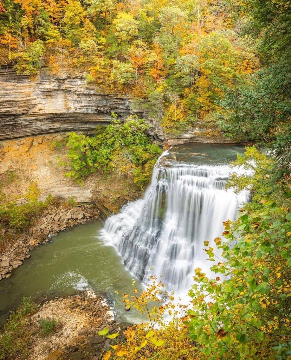 iSupportLocalTN's tweet photo. π Fall colors are appearing at Burgess Falls! π
πΈ by @trentonleephotography
#iSupportLocalTN #instagramtennessee #tnstateparks #tristaradventures #tennessee #TN #waterfall #WaterfallWednesday https://t.co/vA0C18oBAm