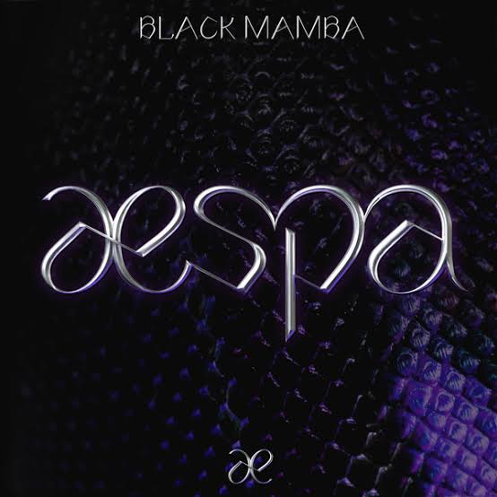 mitomingdesign's tweet photo. アイドルaespaファン(MAY)にぴったり..
forbitchesの"Black Mamba"と名付けられたBAGがかわいい。
#forbitches でdigったら2000年代インスパイアのスタイル沢山見られる。 https://t.co/YDxt2k8F3W