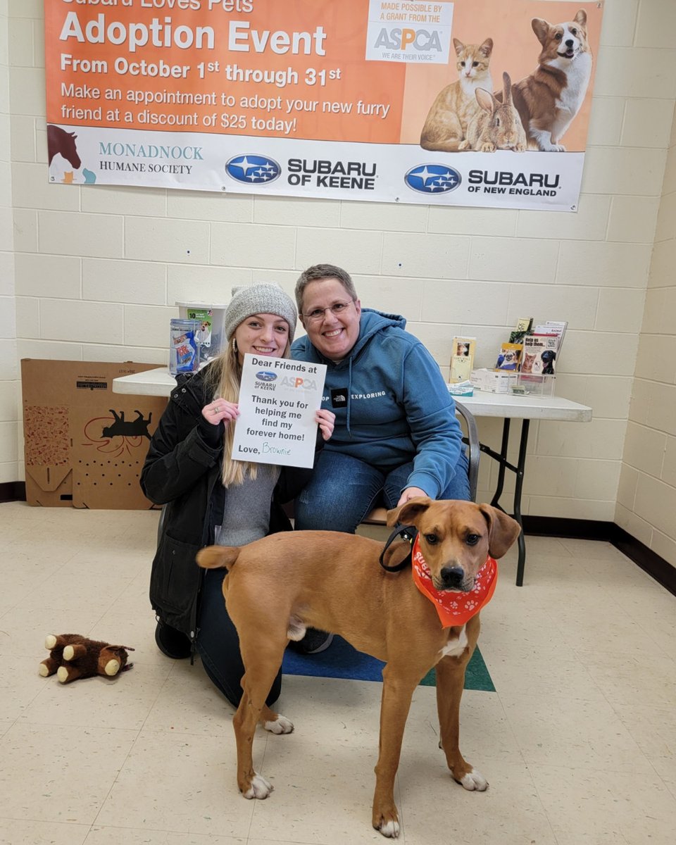 Brownie the dog went home during the Subaru Loves Pets event. Thank you, Subaru and ASPCA, for helping him find his forever family. 106 pets went home during the event, which took place during the month of October! Thank you to everyone for making this possible!
