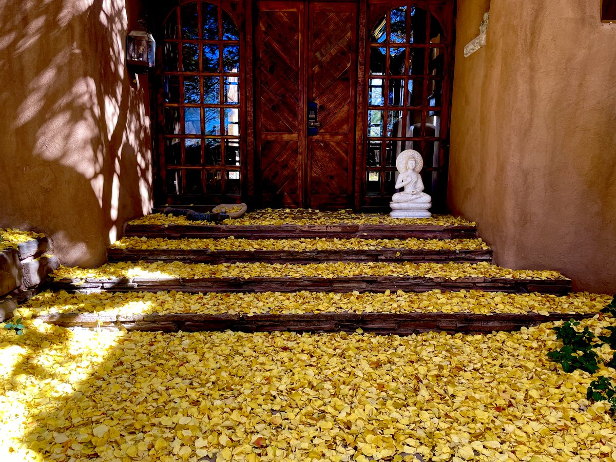jhalifax's tweet photo. The gold of autumn at Upaya teaches me every year about the great beauty of impermanence. https://t.co/H77z5YWfee