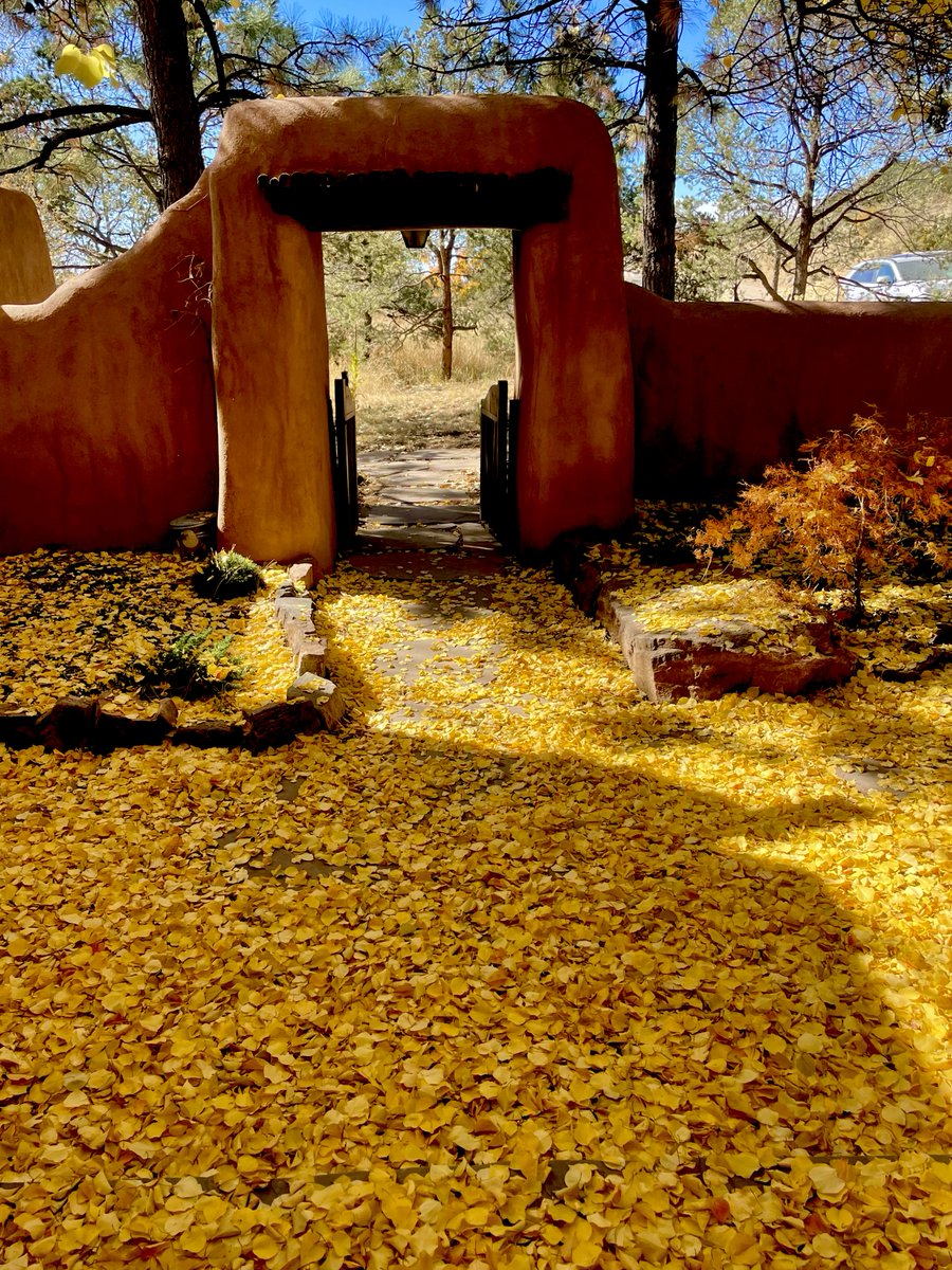 jhalifax's tweet photo. The gold of autumn at Upaya teaches me every year about the great beauty of impermanence. https://t.co/H77z5YWfee