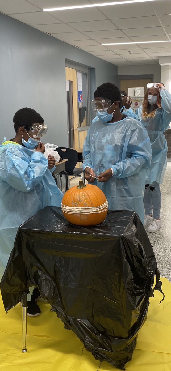 sandra judge-harden (@sjudge24) on Twitter photo How many rubber bands does it take to bust a pumpkin? 🎃 Love our PVMS scientist! <a href="/MJRodney21/">MJ Rodney</a> <a href="/bethtaughtyou/">Beth Morris</a> <a href="/lekiesha_white/">Lekiesha White</a> <a href="/Ali_rapp/">Allison Rapp</a> @weteachva How many rubber bands does it take to bust a pumpkin? 🎃 Love our PVMS scientist! <a href="/MJRodney21/">MJ Rodney</a> <a href="/bethtaughtyou/">Beth Morris</a> <a href="/lekiesha_white/">Lekiesha White</a> <a href="/Ali_rapp/">Allison Rapp</a> @weteachva