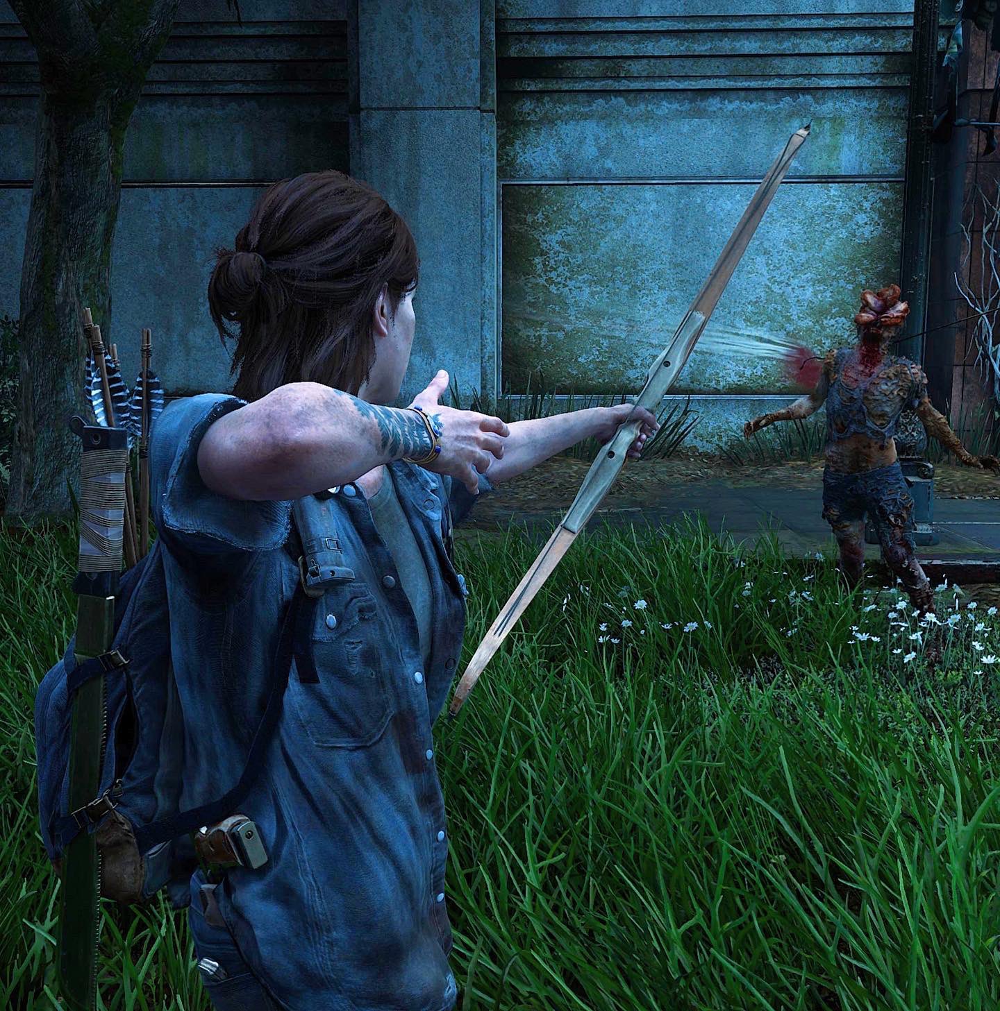 Ellie Williams, PlayStation 4, The Last of Us 2