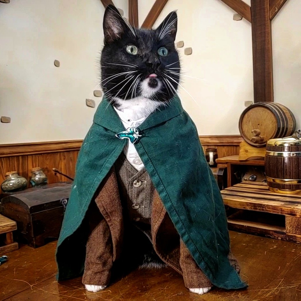 Cat_Cosplay's tweet photo. Blepscroll more.
Doomscroll less.
#BlepScrolling https://t.co/uj0LkzB779