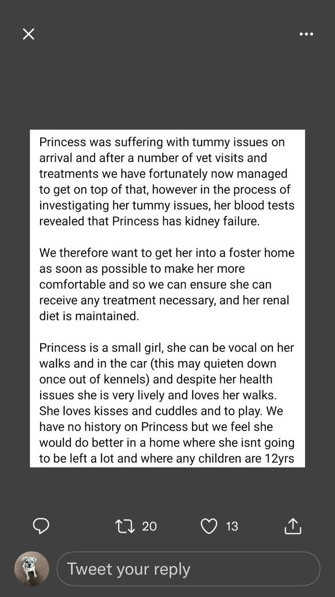 This is princess she’s in desperate need of a foster home.. she’s a few medical issues and she’ll cope better in a home environment.. kennels aren’t a good place please retweet lots for her find someone to foster her please #TeamZay <a href="/SeniorStaffy/">Senior Staffy Club Dog Rescue</a> #WORCESTERSHIRE #Worcester #dogs