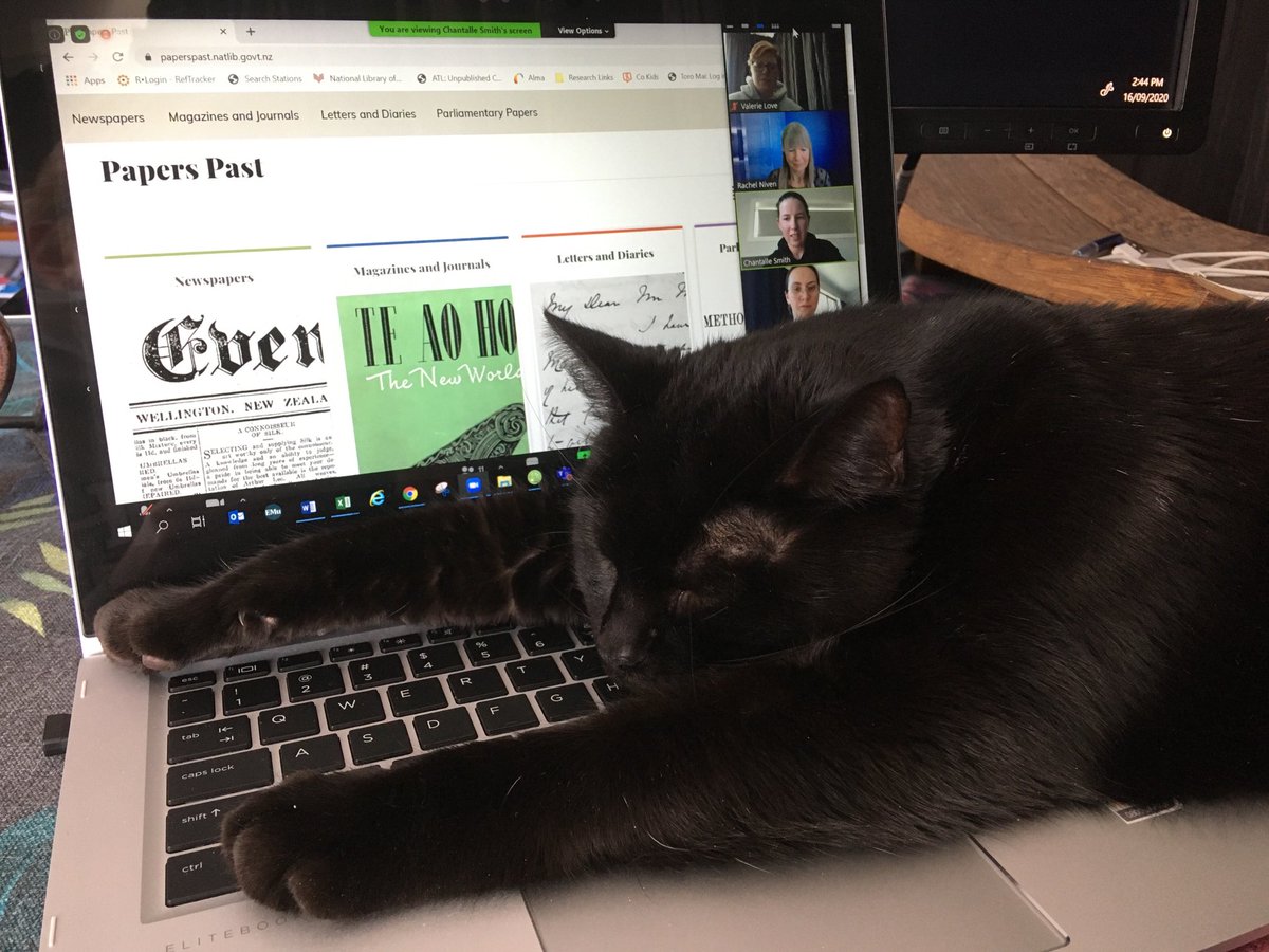 valerielovenz's tweet photo. Did someone say #PetsOfDigitalPreservation?? #WDPD2021 https://t.co/J1Ubnx625j