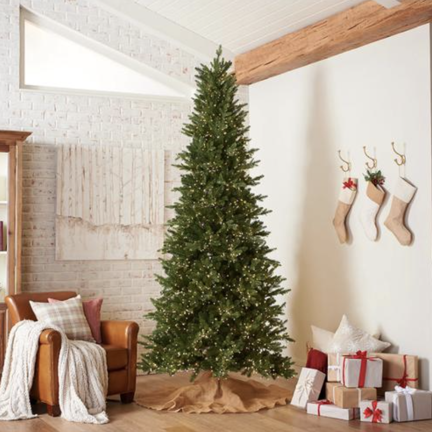 aurioled's tweet image. Alberta spruce Christmas tree, featuring a slimmer profile that allows more wiggle room to tuck into corners or entryways. A cinch to set up; settle in to enjoy the view in no time.
.
#Decorating #BackyardLighting #DIYProject #Willow #ChristmasTree #decoration