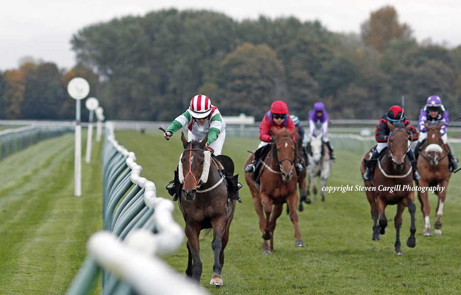 Steven_Cargill's tweet photo. 6th win for 6yo g REGULAR INCOME (Fast Company) in @amajox 10f handicap @NottsRacecourse today for @ptmidgley with Emily Bullock https://t.co/vuIUJXp1Ab