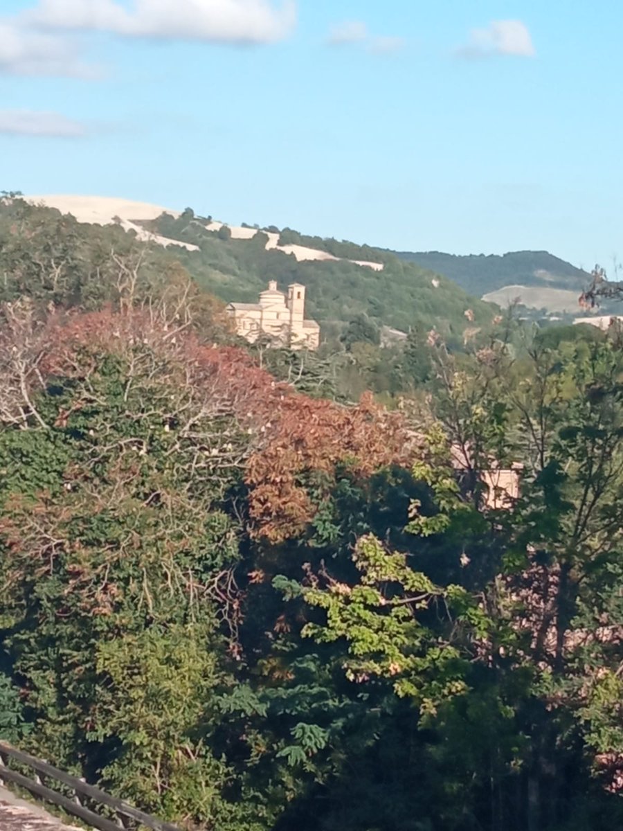 #Urbino
San Bernardino, il mausoleo di Federico e Guidubaldo da Montefeltro