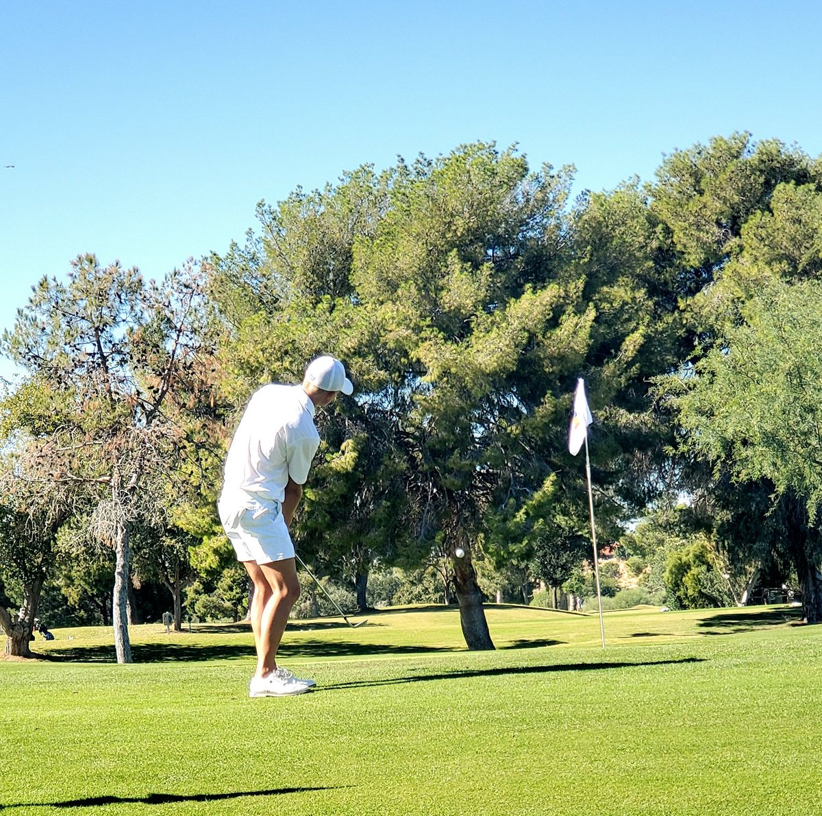 RMGolfTeam's tweet photo. Just another day in the life of @RMGolfTeam... #StateEdition https://t.co/SMmu5IabFQ