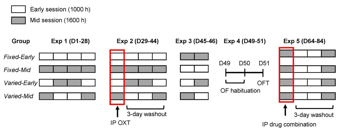 Simone Rehn tweet media