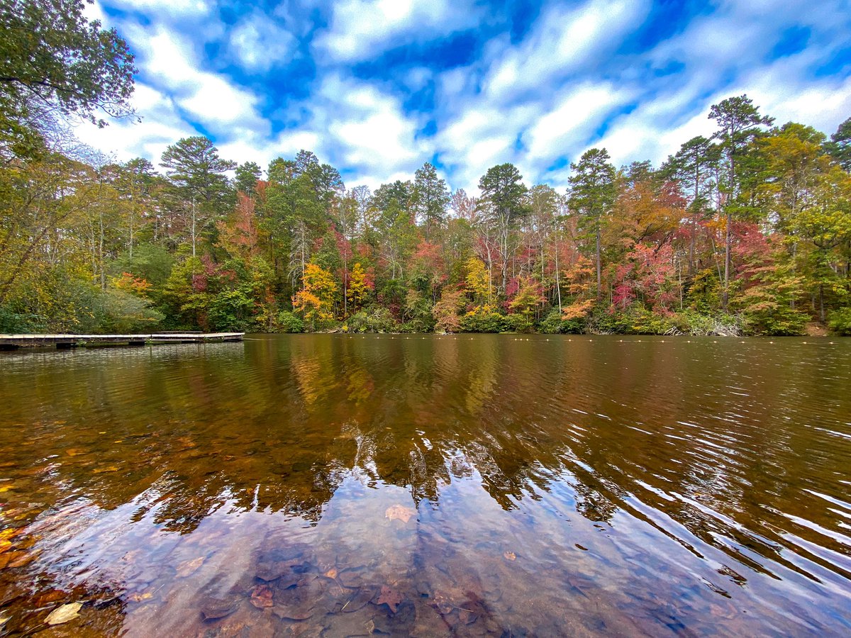 JamarcusGaston's tweet image. Some color creeping into the upstate! Looking good Paris Mountain State Park.